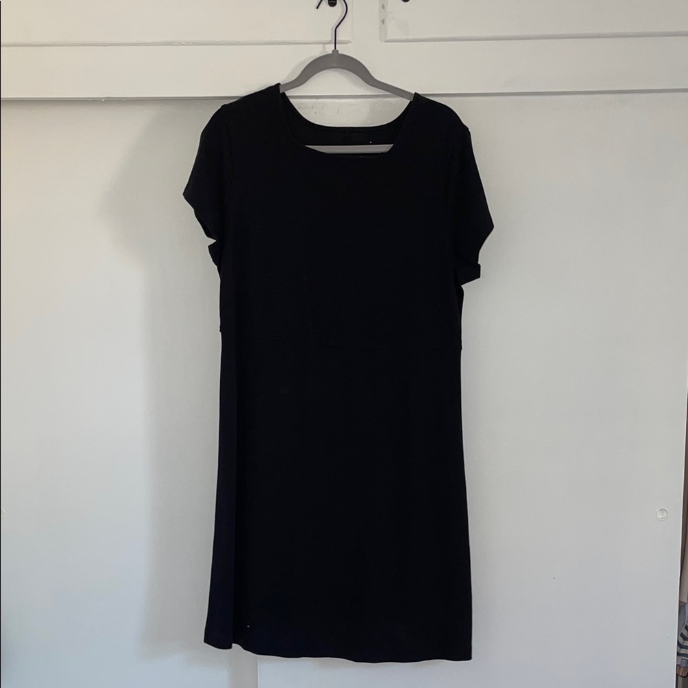 Everlane Classic Black Mini Dress